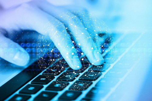 网络安全入门与渗透测试学习路径